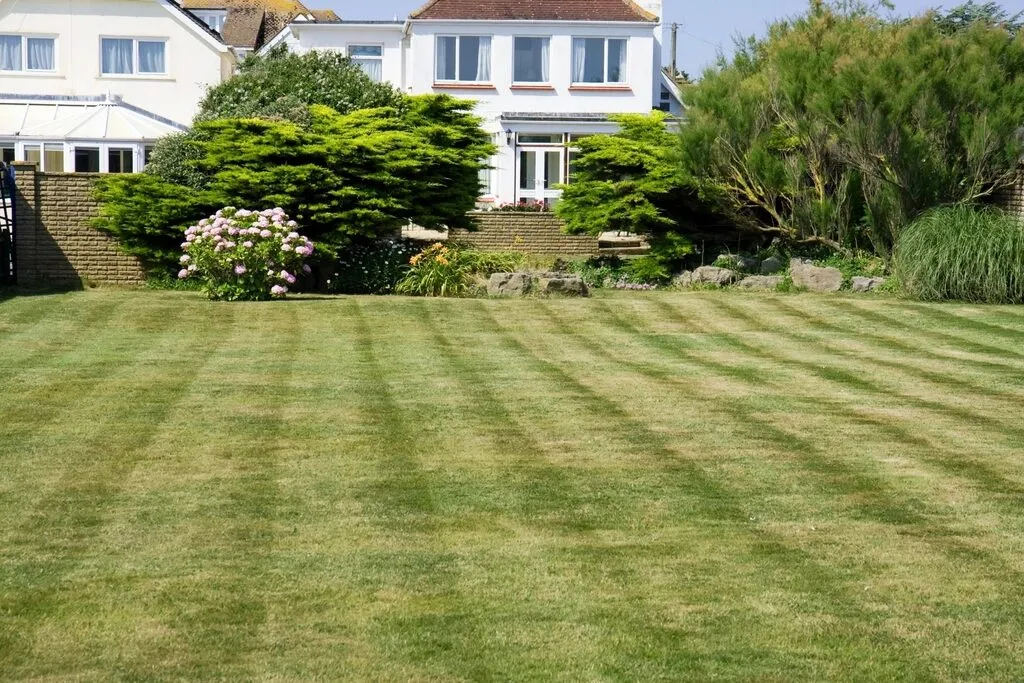 A freshly striped lawn behind a white house